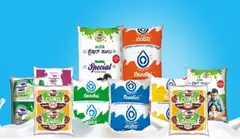 Nandini Milk: ಹಾಲಿನ ದರ 5 ರೂಪಾಯಿ ಏರಿಕೆ? ಸಚಿವ ಕೆ.ಎನ್ ರಾಜಣ್ಣ ಹೇಳಿದ್ದೇನು?
